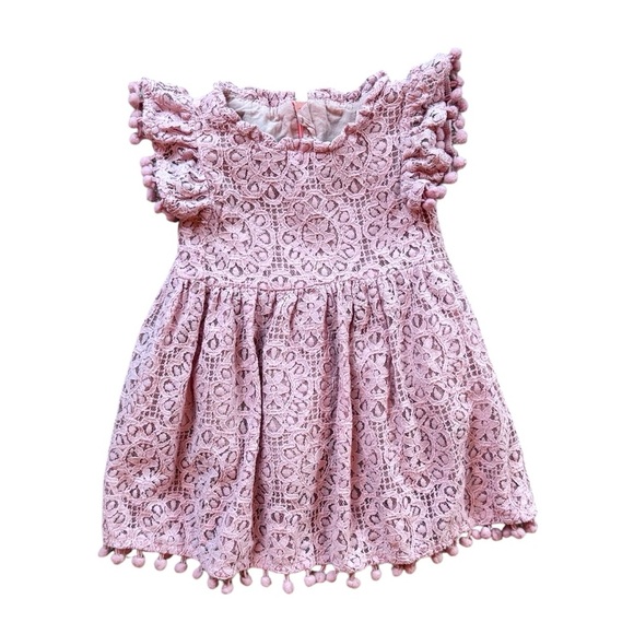 Baby Girl Pink Lace Dress with Pom Pom Trim Pink Easter dress- Size 6 months - Picture 2 of 8
